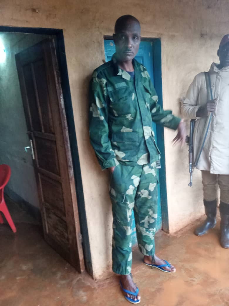 Allied Democratic Forces