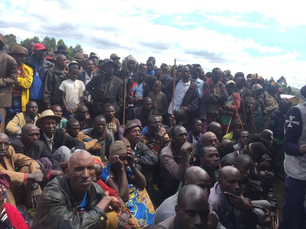 Allied Democratic Forces