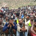 Tigray Defence Forces