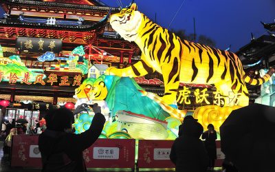 THE LUNAR NEW YEAR OF THE TIGER