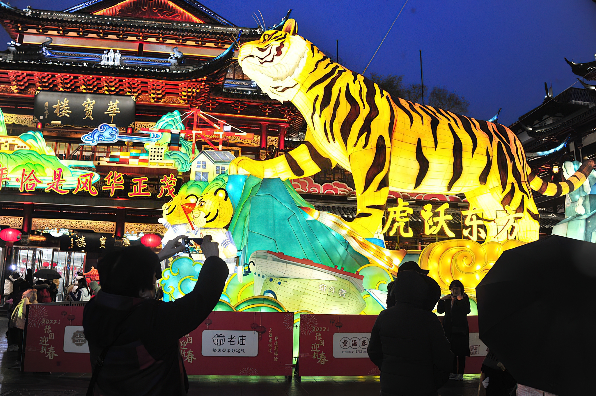 Year of the Tiger