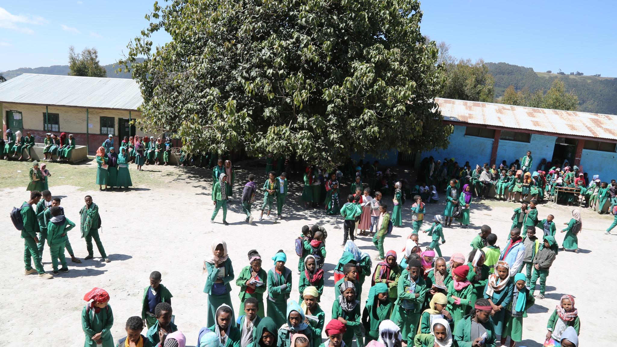 nationalities day celebration