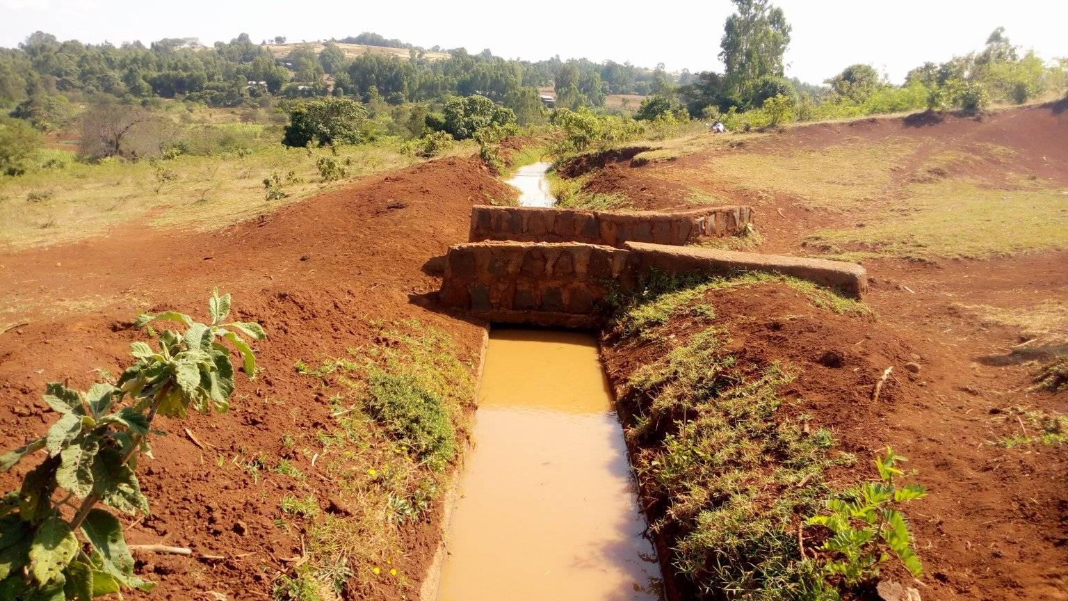 Winter wheat development