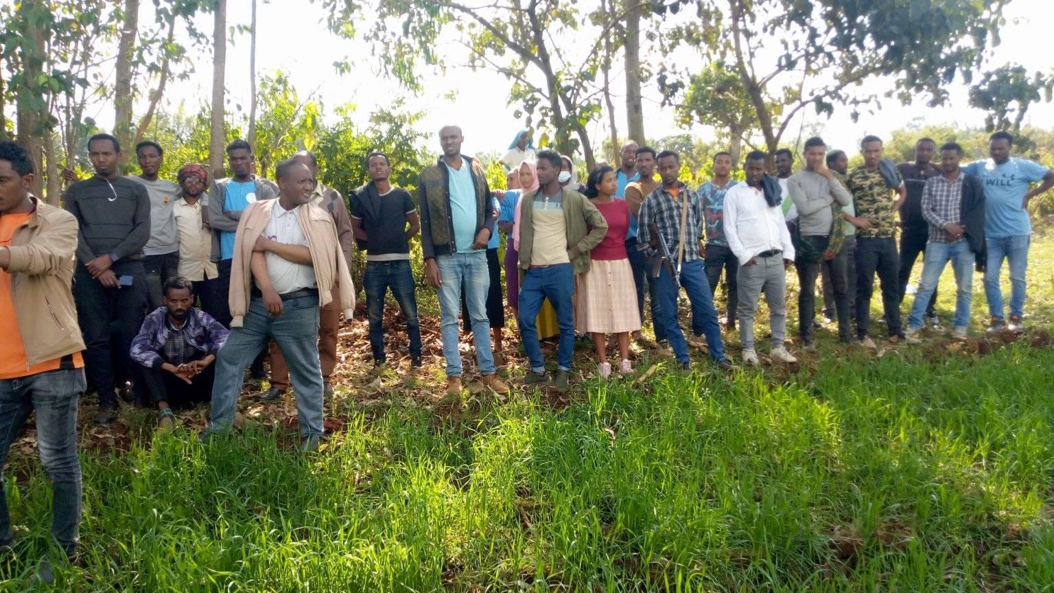 Winter wheat development