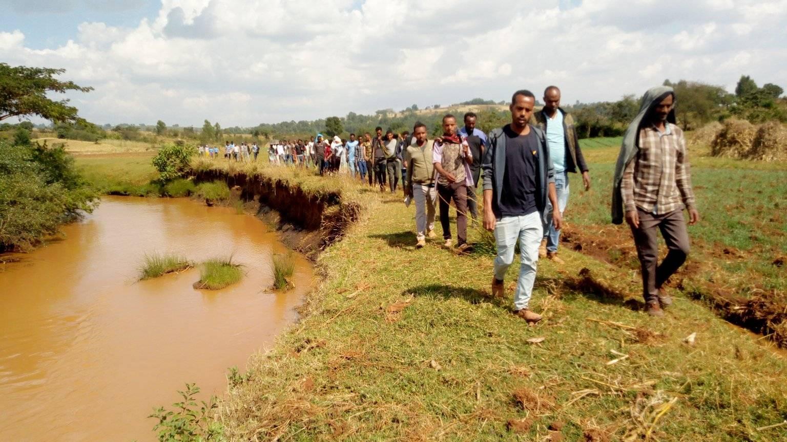 Winter wheat development